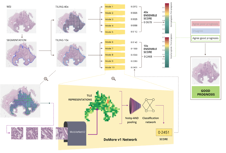 DoMore Diagnostics